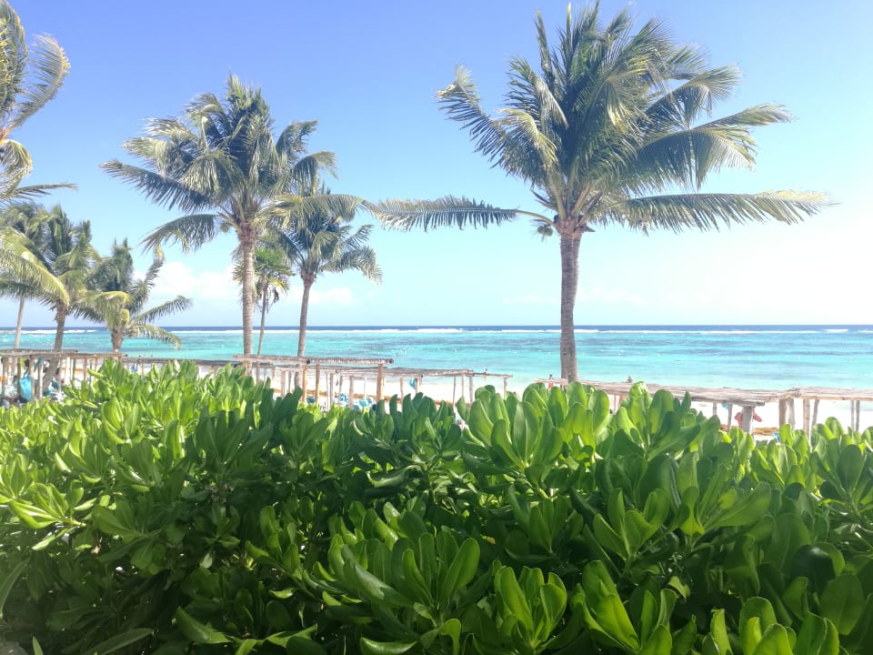 Außenansicht Akumal Bay Beach & Wellness Resort