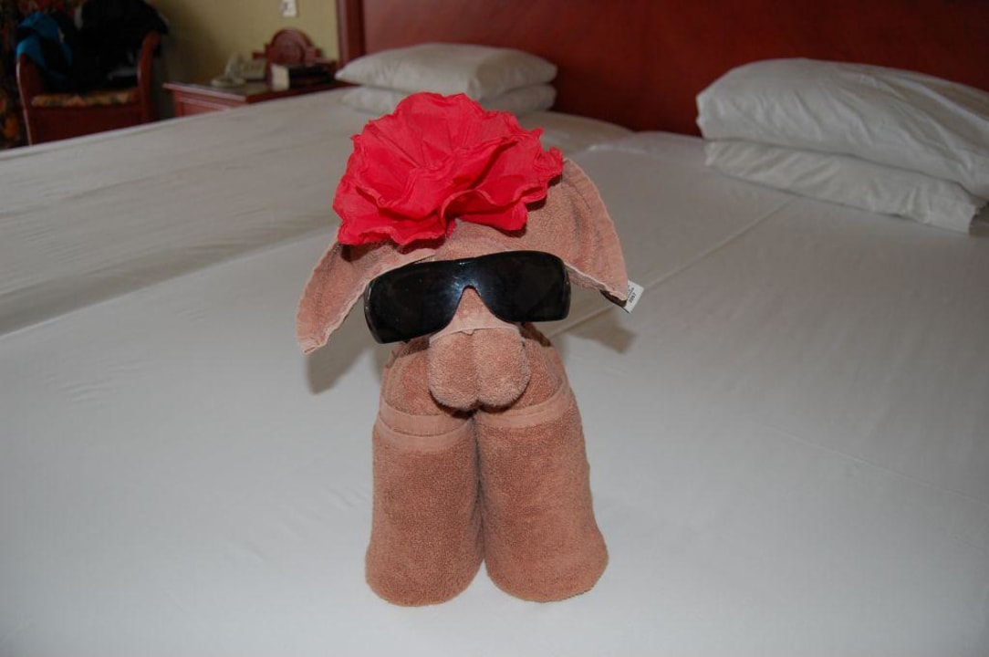 Kreativität Hotel Riu Playacar