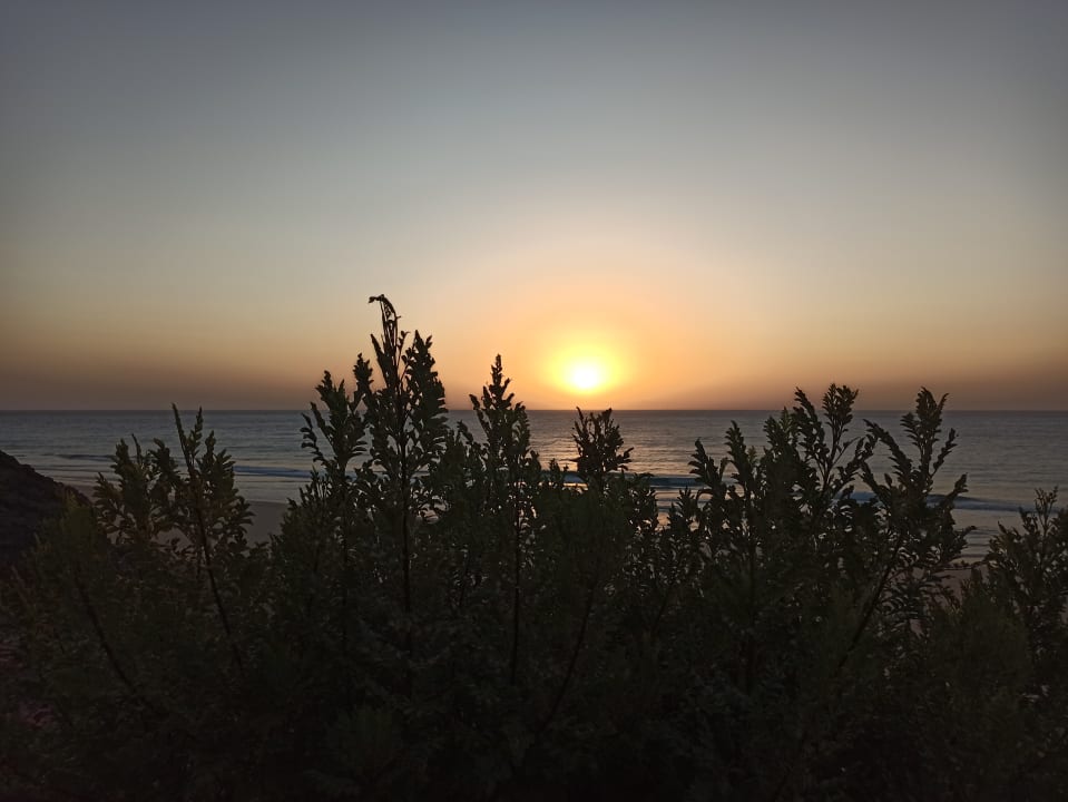 Ausblick Royal Palm Resort & Spa - Adults only