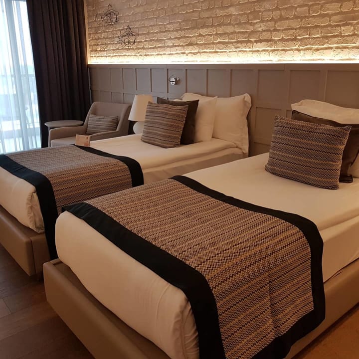 Zimmer Acanthus Cennet Barut Collection