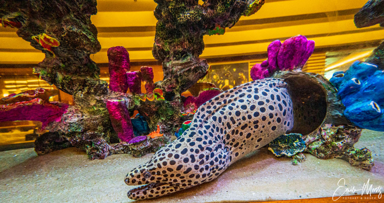 Lobby Gloria Serenity Resort