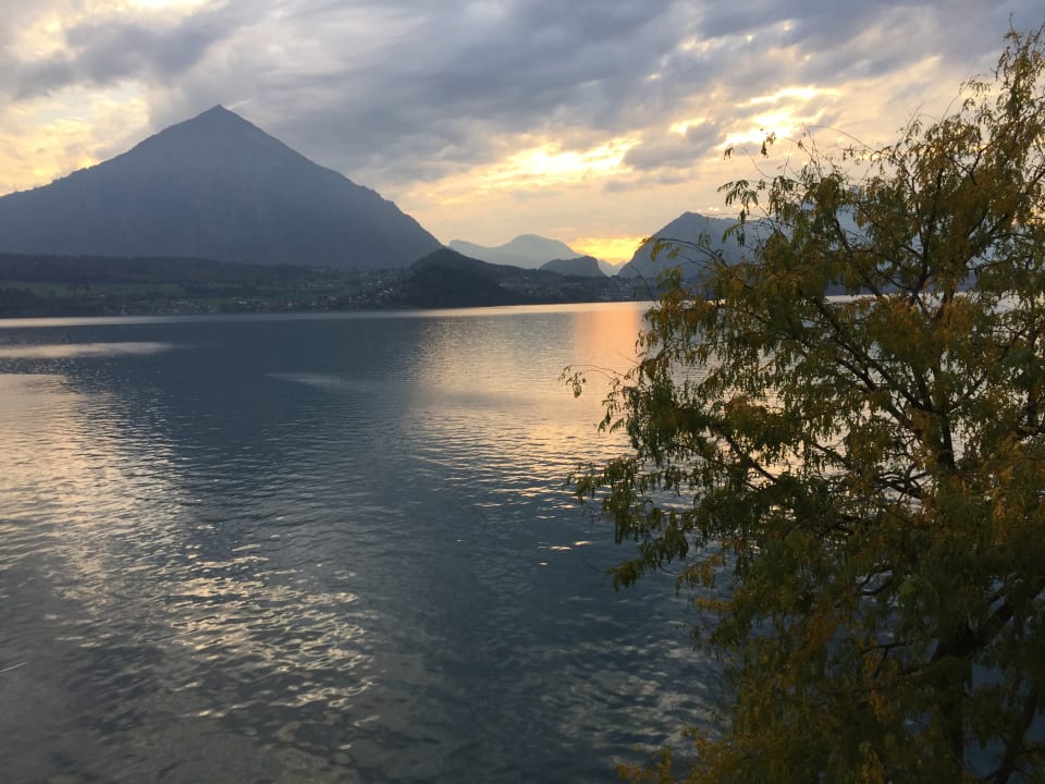 Ausblick Beatus Wellness- & Spa-Hotel