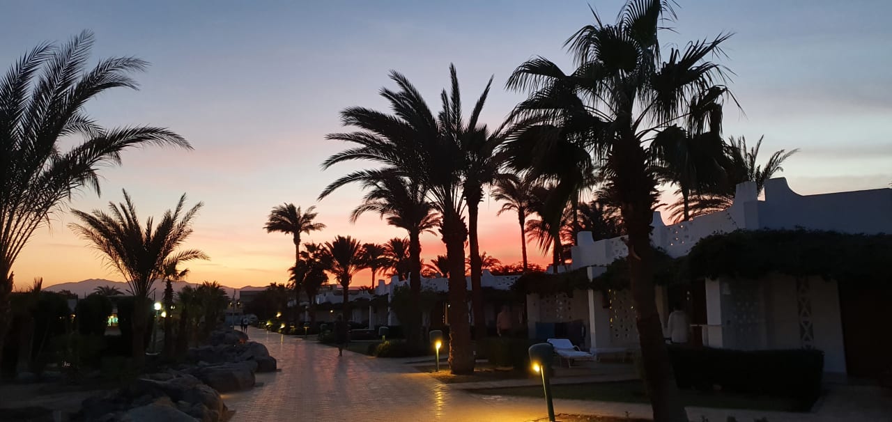 Gartenanlage Shams Prestige Abu Soma-Adults Only