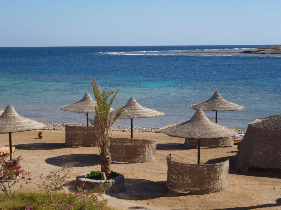 Immer eine freie Liege Hotel Coral Garden