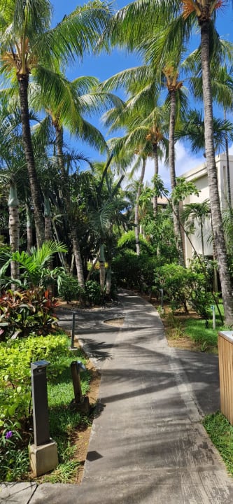 Gartenanlage Lagoon Attitude - Adults only