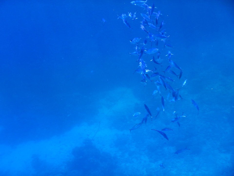 Strand Three Corners Sea Beach Resort