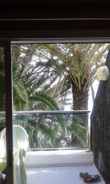 Ausblick aus dem Zimmer Melia La Palma Hotel