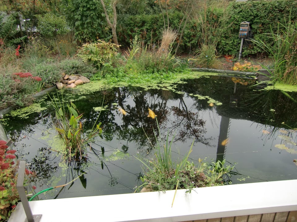 Teich Gästehaus Goerner