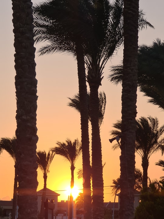 Ausblick Stella Garden Resort & Spa, Makadi Bay