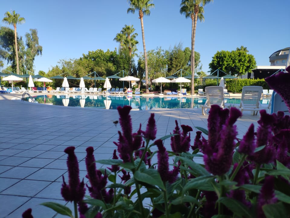 Pool Iz Flower Side Beach Hotel