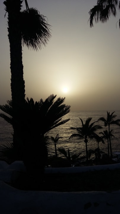 Ausblick allsun Hotel Los Hibiscos