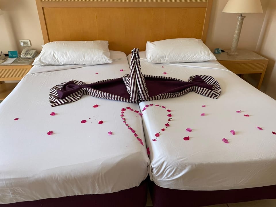 Zimmer Hotel JAZ Makadi Star & Spa
