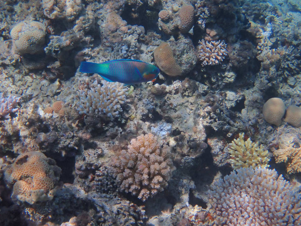 Strand Hotel Kempinski Soma Bay