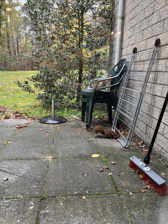 Sonstiges Ferienpark Landal De Lommerbergen