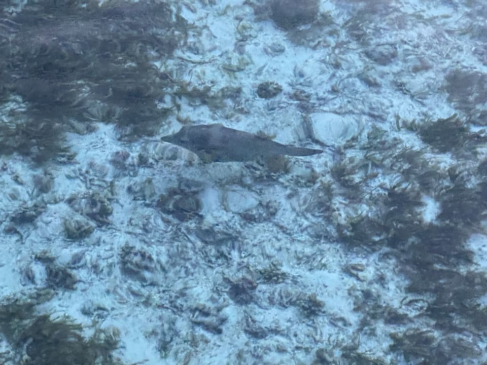 Strand Adaaran Select Hudhuran Fushi - Premium All Inclusive