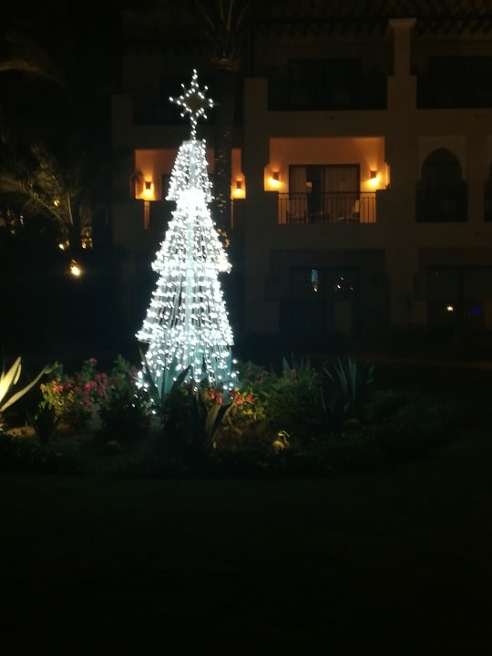 Gartenanlage Steigenberger Coraya Beach - Adults only