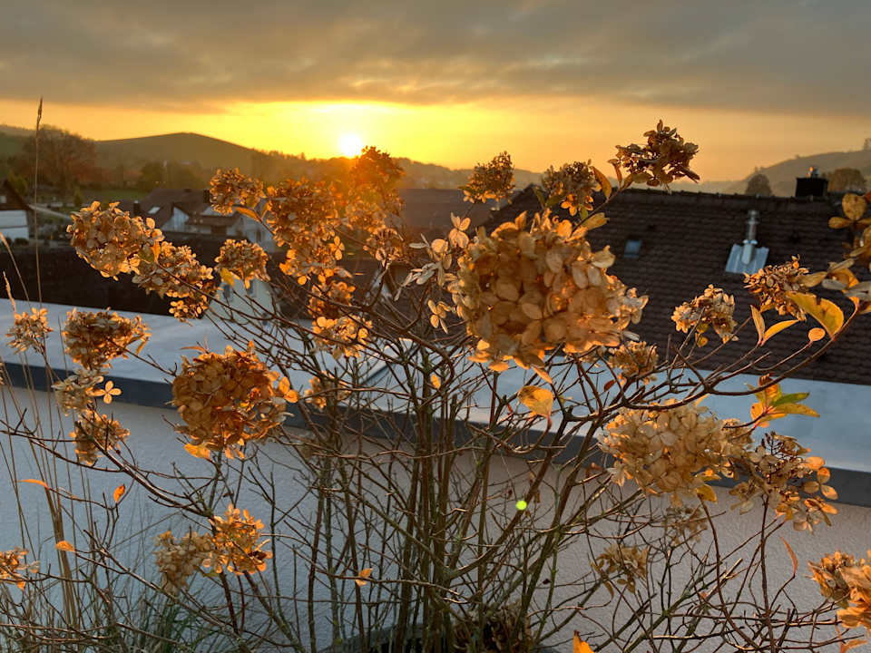 Sonstiges Hotel Ritter Durbach