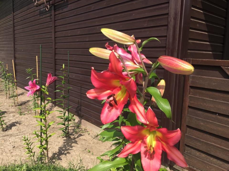 Sonstiges Hotel & Restaurant Zur Spreewälderin