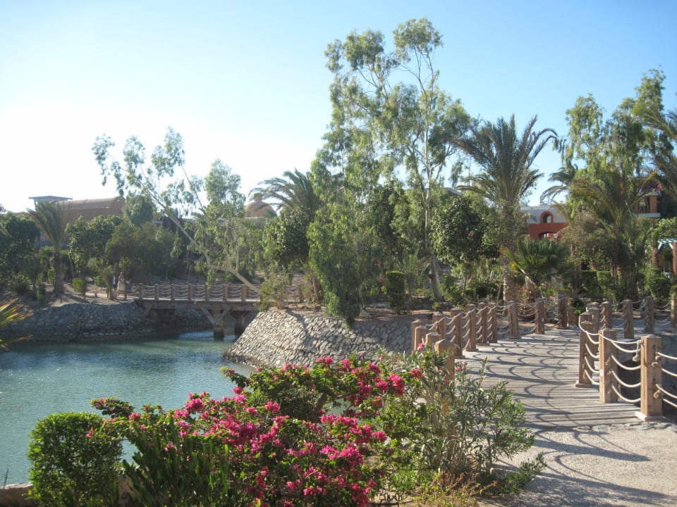 Eine Oase in der Wüste Sheraton Miramar Resort El Gouna