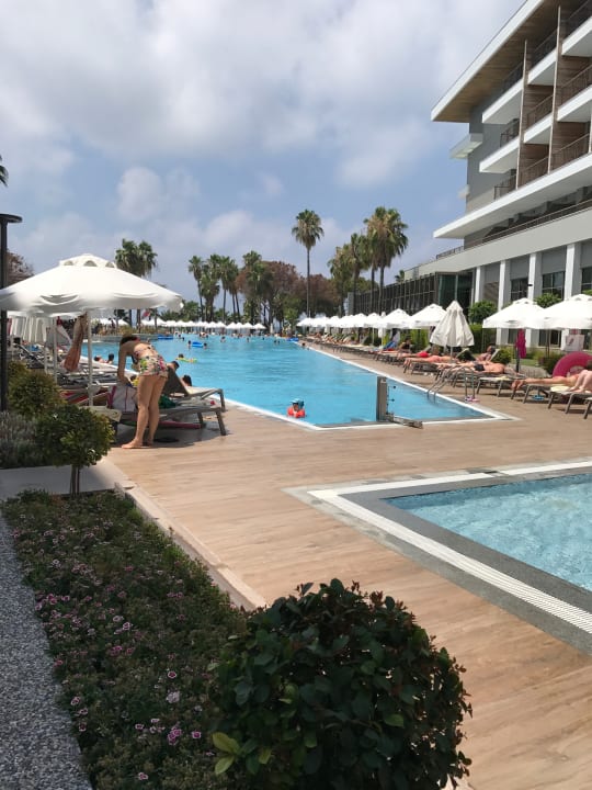 Pool Acanthus Cennet Barut Collection