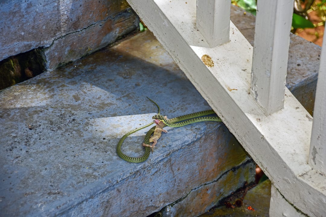 Sonstiges Dusit Thani Krabi Beach Resort