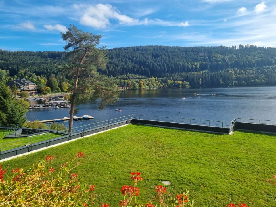 Ausblick Treschers Schwarzwald Hotel