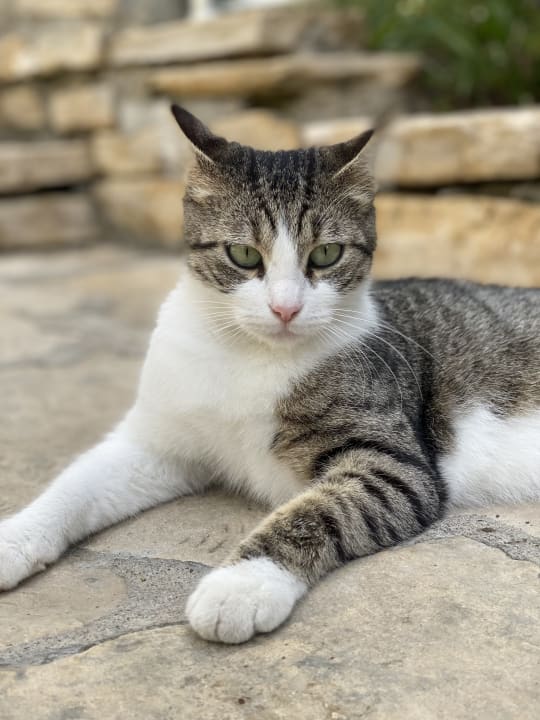 Sonstiges Side Star Elegance