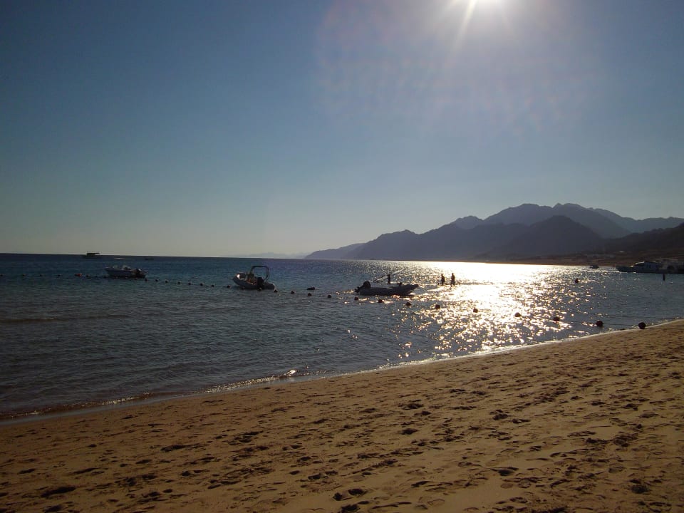 Blick auf das Meer JAZ Dahabeya