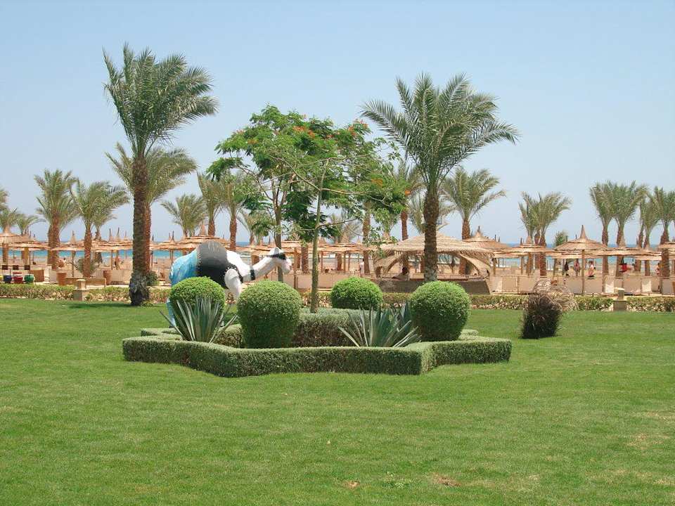 Перед пляжем Pickalbatros Palace Resort
