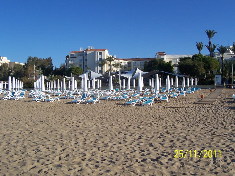 Strand und Liegen PALOMA Perissia