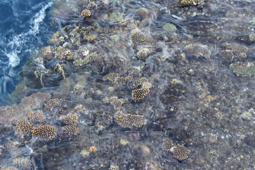 Riff The Grand Hotel Sharm El Sheikh