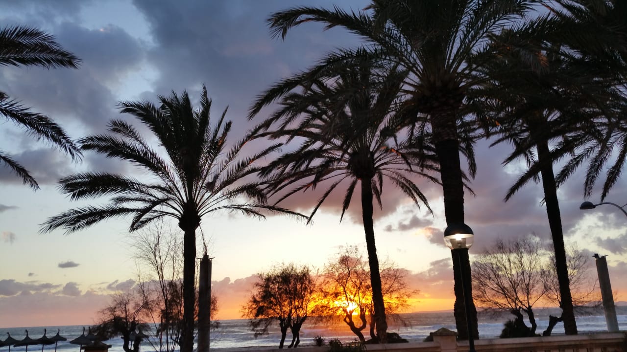 Ausblick allsun Hotel Pil-lari Playa