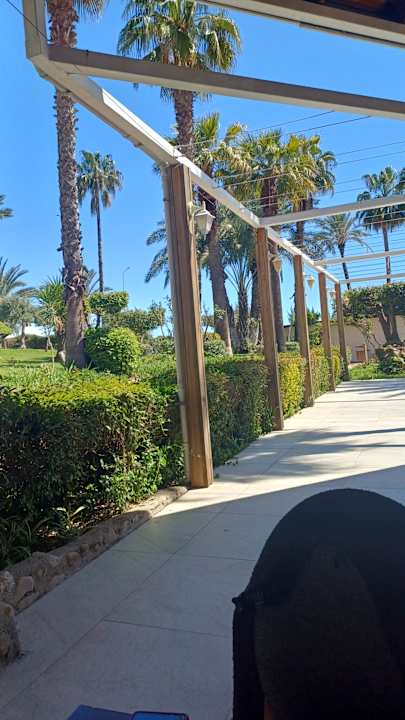 Gartenanlage Hotel Defne Garden