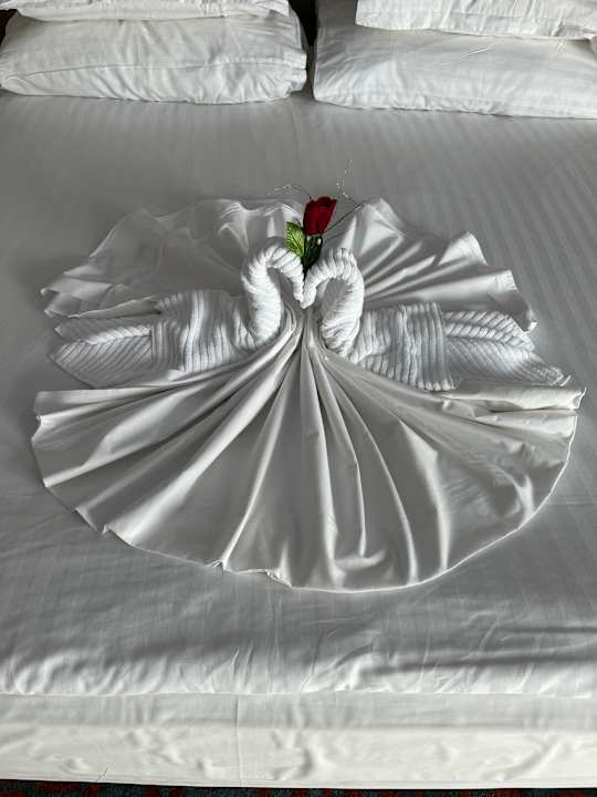 Zimmer Royal Seginus