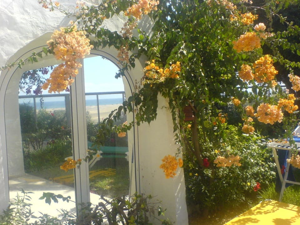 Buganvillien Sahara Beach Club