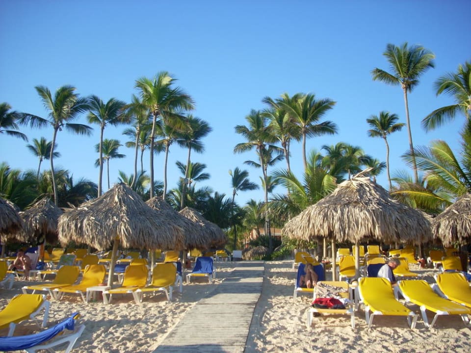 Immer eine Liege frei Iberostar Waves Punta Cana