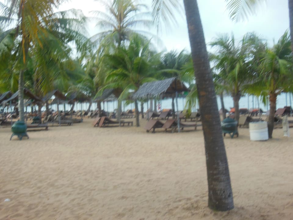 Die Ruhe vor dem Sturm  Pinnacle Grand Jomtien Resort