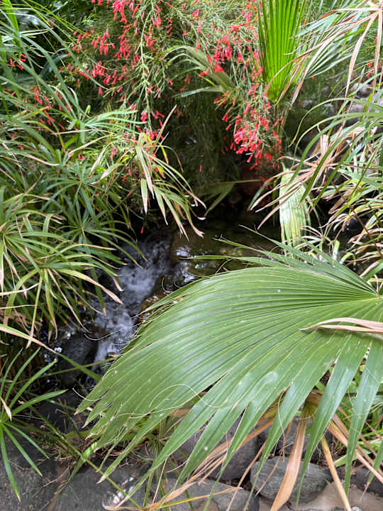 Gartenanlage allsun Hotel Lucana