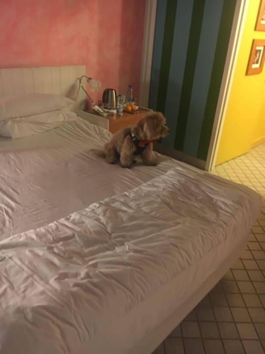 Bett The Marmara Antalya Hotel