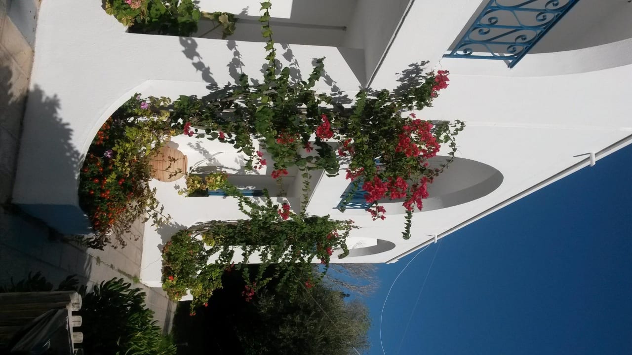 Sehr schön TUI KIDS CLUB Alex Beach