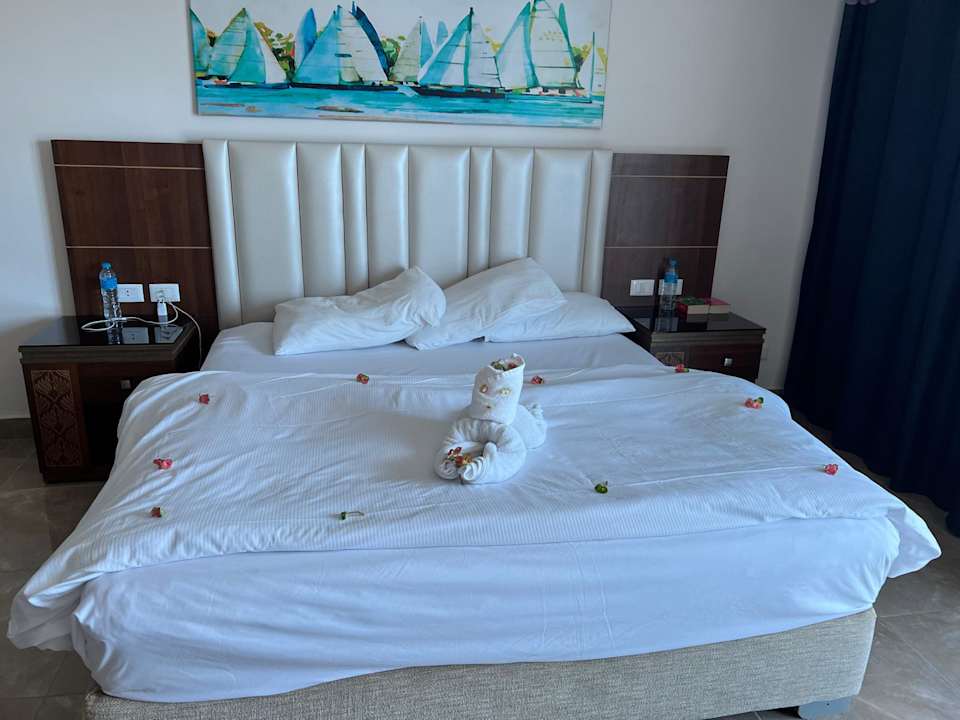 Zimmer Albatros Sharm Resort