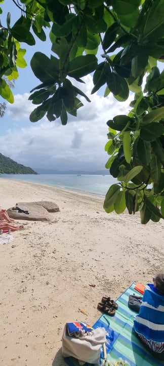 Strand Fitzroy Island Resort