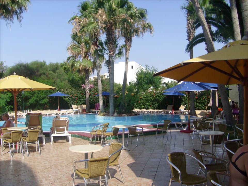 Der gepflegter Pool Hotel Nesrine