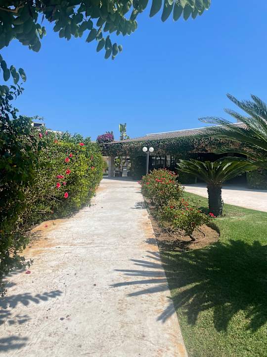 Gartenanlage Prinsotel La Dorada