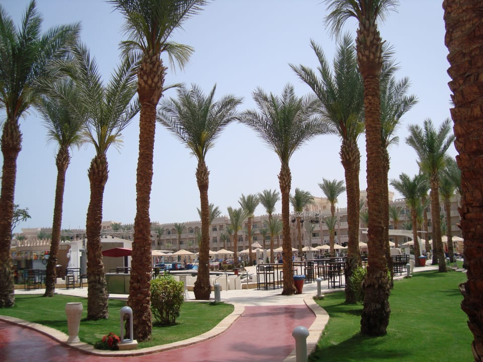 Außenansicht Beach Albatros Resort