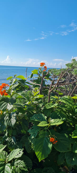 Ausblick Akumal Bay Beach & Wellness Resort