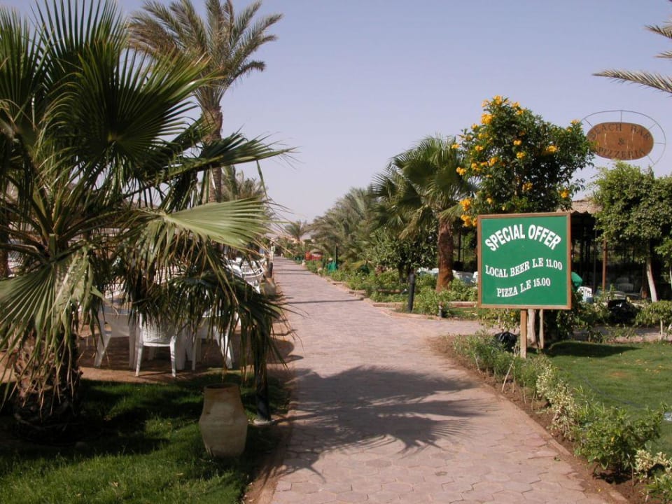 Beachbar Fort Arabesque Resort, Spa & Villas