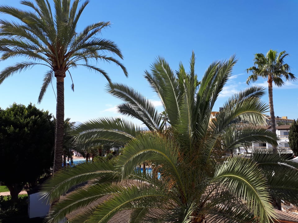 Vom Balkon Alcudia Garden Aparthotel