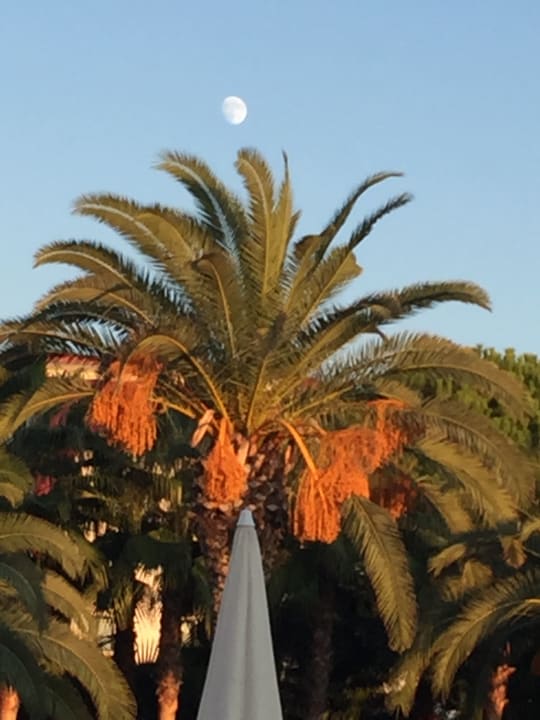 Sonstiges Hotel Miramare Beach