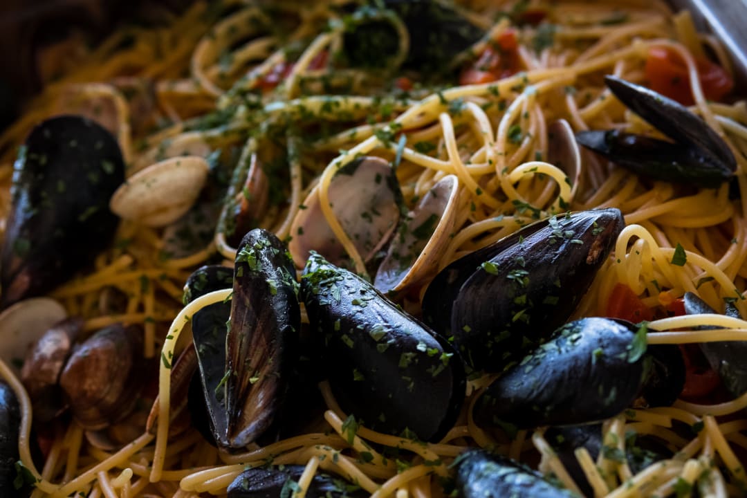 Gastro Canado Club Family Village